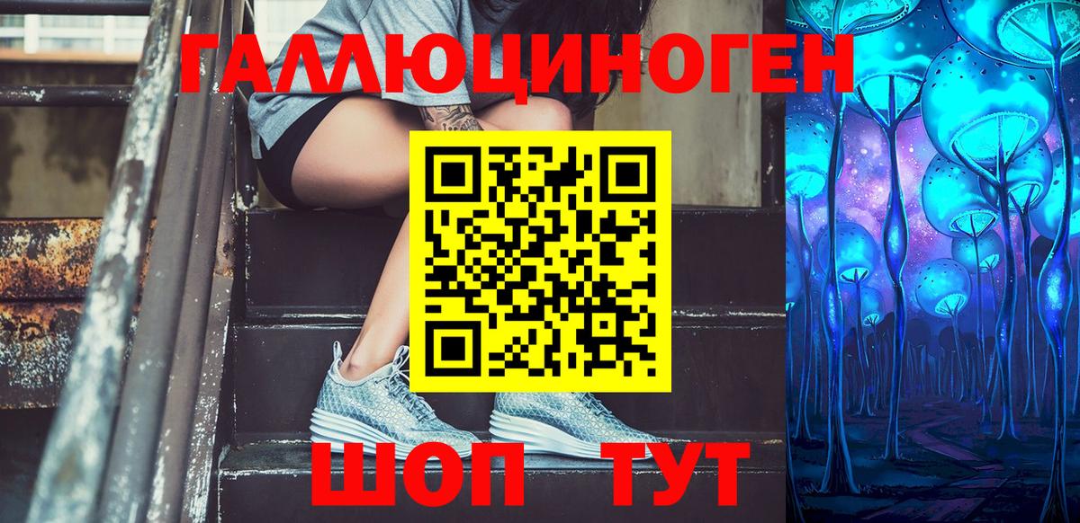 Галлюциногенные грибы Psilocybine cubensis Грозный