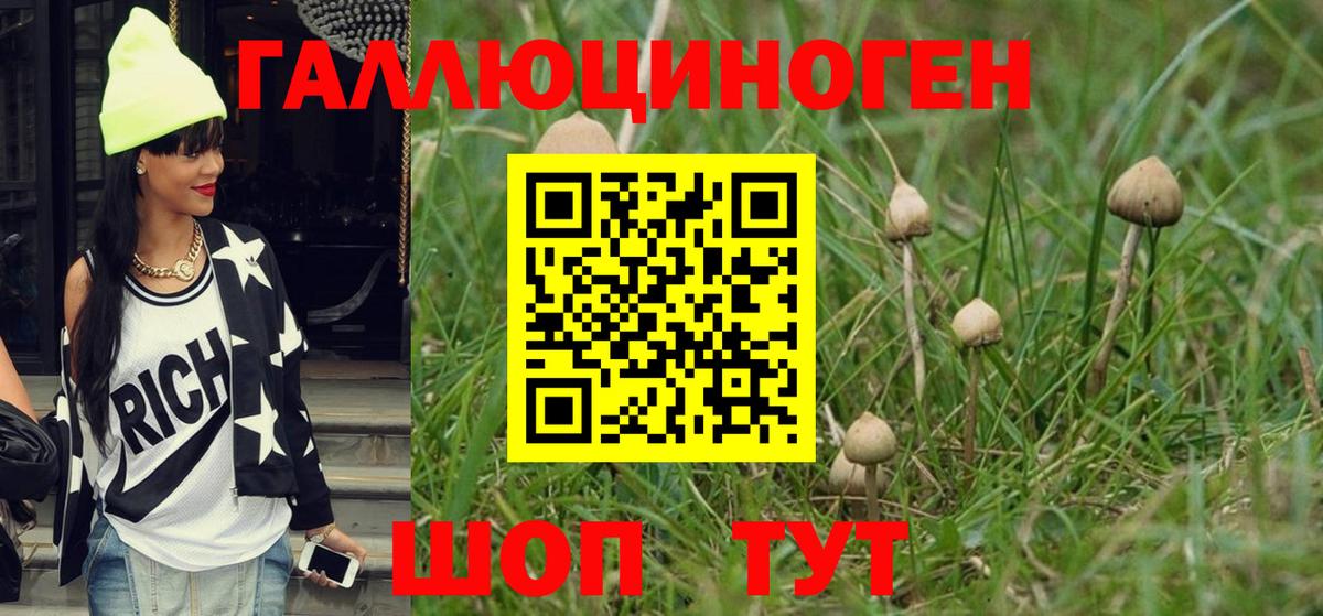 Псилоцибиновые грибы Cubensis  Вход с VPN  Грозный 