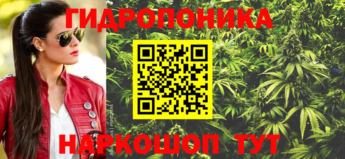 Марихуана планчик  Вход с VPN  Каннабис сатива  Бошки Шишки конопля  Грозный  Бошки Шишки LSD WEED 